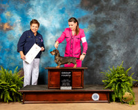 Dachshund Wire #11 Fri1 G4 Judge Catherine Bell