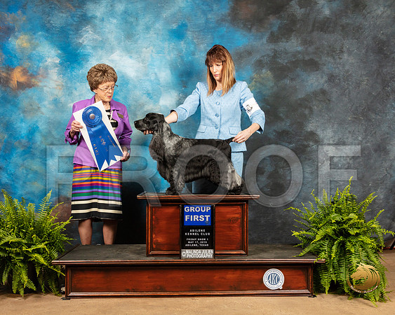 English Cocker Spaniel #5 Fri1 G1 Judge Catherine Bell_SSR_7734_Ablne2019-HR