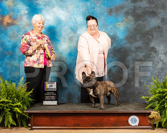 French Bulldog #5 Fri2 BOB Judge Gloria Kerr_SSR_7684_Ablne2019-HR