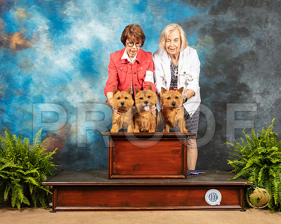 Norwich Terrier #7 Family_SSR_7710_Ablne2019-HR