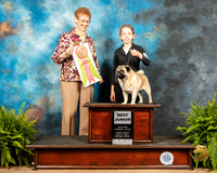 Pug #J400 Fri2 Judge Patricia Hastings
