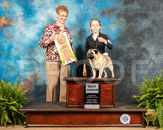 Pug #J400 Fri2 Judge Patricia Hastings_SSR_7687_Ablne2019-HR