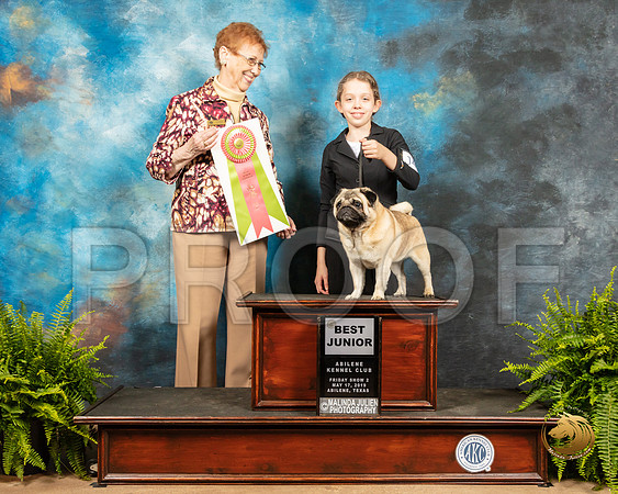 Pug #J400 Fri2 Judge Patricia Hastings_SSR_7688_Ablne2019-HR