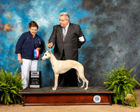 Whippet #6 Fri1 BOS Judge Catherine Bell