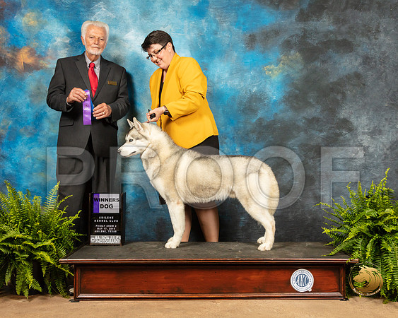 Siberian Husky #17 Fri2 WD Judge Houston Clark_SSR_7707_Ablne2019-HR