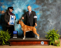 Boxer #10 Fri2 Judge Lee Herr