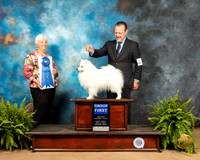 American Eskimo #5 Fri G1 Judge Gloria Kerr