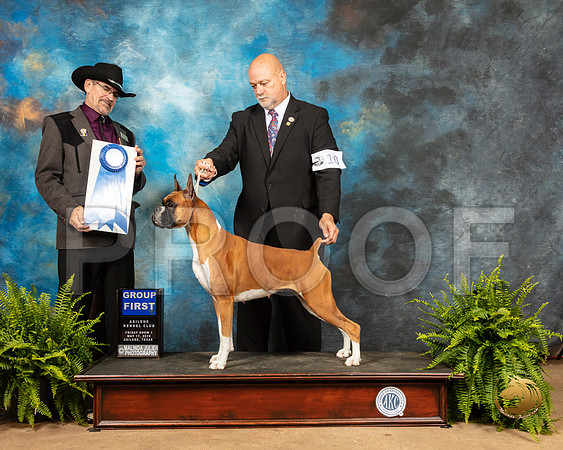 Boxer #10 Fri2 Judge Lee Herr_SSR_7742_Ablne2019-HR
