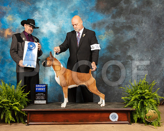 Boxer #10 Fri2 Judge Lee Herr_SSR_7744_Ablne2019-HR