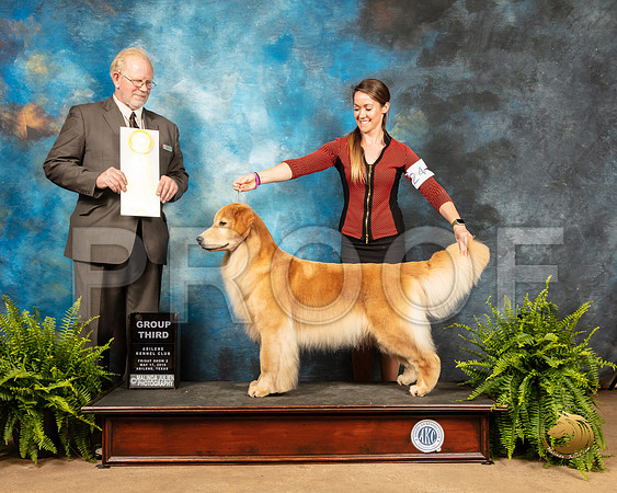 Golden Retriever #24 Fri G3 Judge Fred Hyer_SSR_7784_Ablne2019-HR