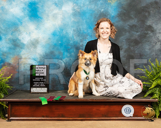 Icelandic Sheepdog #R40 Fri RNovB_SSR_7802_Ablne2019-HR