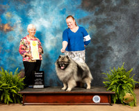 Keeshond #5 Fri G3 Judge Gloria Kerr