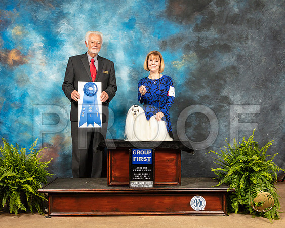 Maltese #7 Fri G1 Judge Houston Clark_SSR_7772_Ablne2019-HR
