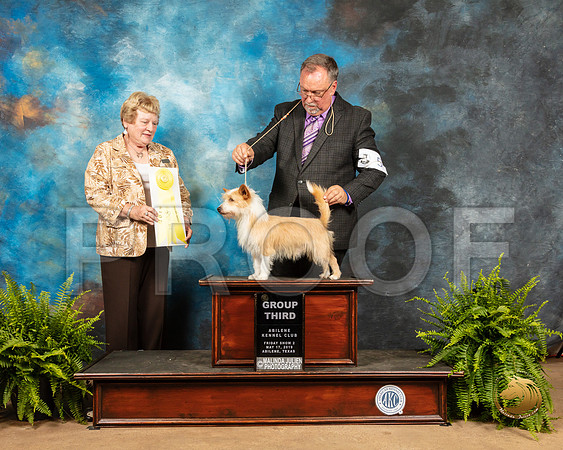Portuguese Podengo Pequeno #5 Fri G3 Judge Gloria Kerr_SSR_7765_Ablne2019-HR