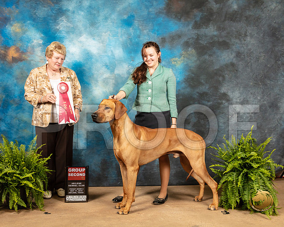 Rhodesian Ridgeback #5 Fri G2 Judge Gloria Kerr_SSR_7816_Ablne2019-HR