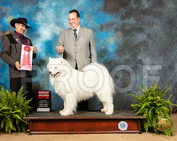 Samoyed #5 Fri1 G2 Judge Lee Herr_SSR_7748_Ablne2019-HR