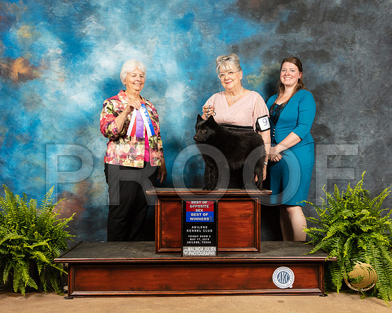 Schipperkee #9 Fri BOS Judge Gloria Kerr_SSR_7753_Ablne2019-HR