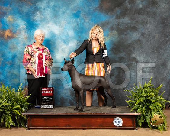 Xolo #6 Fri G2 Judge Gloria Kerr_SSR_7797_Ablne2019-HR