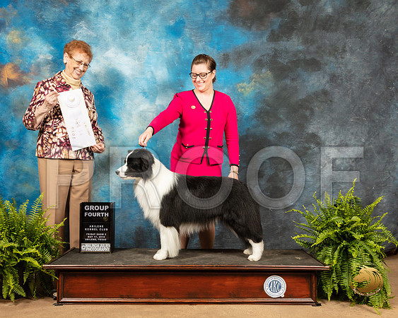 Border Collie #15 Fri G4 Judge Patricia Hastings_SSR_7859_Ablne2019-HR