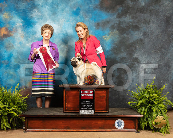 Pug #15 Fri G2 Judge Patricia Trotter_SSR_7878_Ablne2019-HR