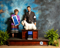 Sealyham Terrier #6 Fri G1 Judge Patricia Trotter