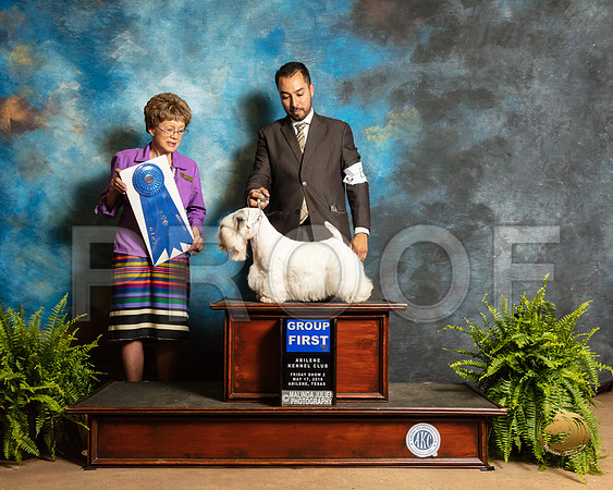 Sealyham Terrier #6 Fri G1 Judge Patricia Trotter_SSR_7884_Ablne2019-HR