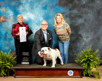 Bulldog #7 Fri G4 Judge Toddie Clark