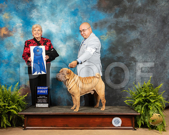 Chinese Shar Pei #5 Fri G1 Judge Toddie Clark_SSR_7894_Ablne2019-HR