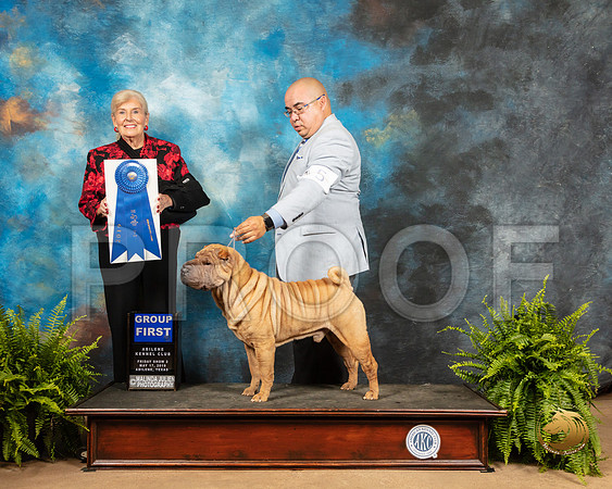 Chinese Shar Pei #5 Fri G1 Judge Toddie Clark_SSR_7897_Ablne2019-HR