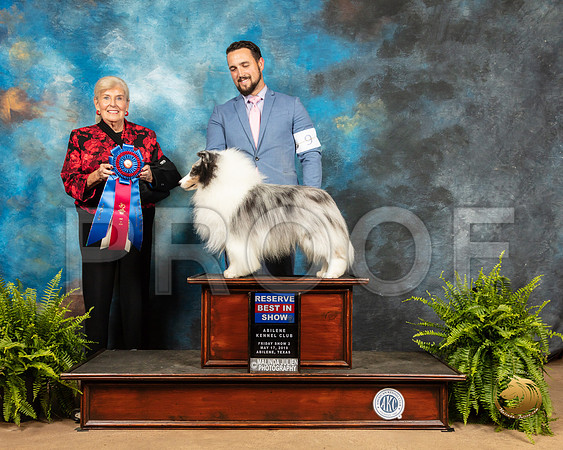 Shetland Sheepdog #9 Fri RBIS Judge Toddie Clark_SSR_7919_Ablne2019-HR