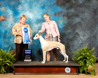 Whippet #9 Fri G1 Judge Gloria Kerr
