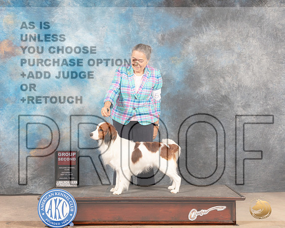 Kooikerhondje #5 Sat G2 Judge Pat Trotter-MMJ_4139-Abilene2022-HR3