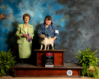 Pug #10 Sat WB BOS Judge Patricia Trotter