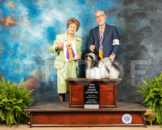 Havanese #11 Sat BOB NGold Judge Patricia Trotter_SSR_8027_Ablne2019-HR