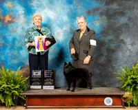 Schipperkee #7 Sat BOB Judge Toddie Clark