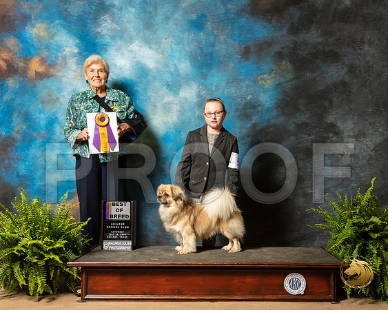 Tibetan Spaniel #5 Sat BOB Judge Toddie Clark_SSR_8045_Ablne2019-HR