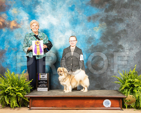 Tibetan Spaniel #5 Sat BOB Judge Toddie Clark_SSR_8046_Ablne2019-HR
