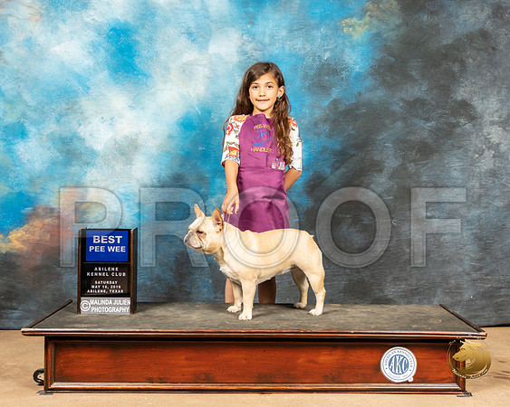 Pee Wee #19 Sat French Bulldog_SSR_8074_Ablne2019-HR