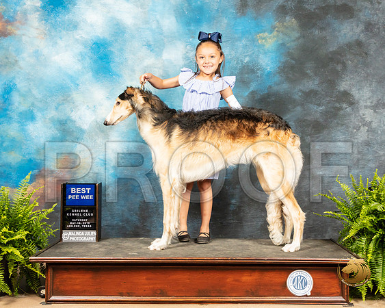 Pee Wee #20 Borzoi_SSR_8057_Ablne2019-HR