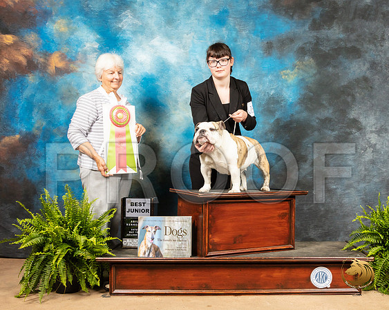 Bulldog #J500 Best Jr Judge Gloria Kerr_SSR_8101_Ablne2019-HR