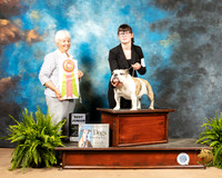 Bulldog #J500 Best Jr Judge Gloria Kerr
