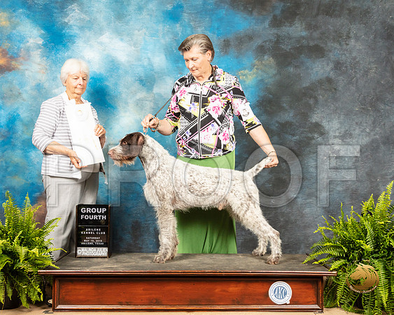 German Wirehaired Pointer #5 Sat G4 Judge Gloria Kerr_SSR_8144_Ablne2019-HR