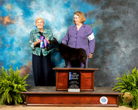 Schipperkee #5 Sat BOS Judge Toddie Clark