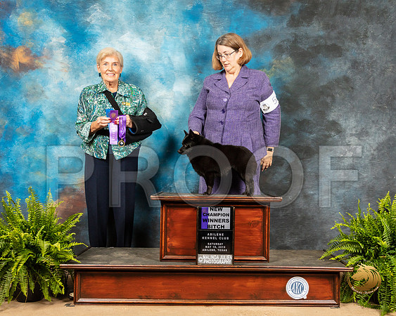 Schipperkee #8 Sat Nch Judge Toddie Clark_SSR_8126_Ablne2019-HR
