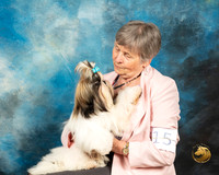 Shih Tzu Renate