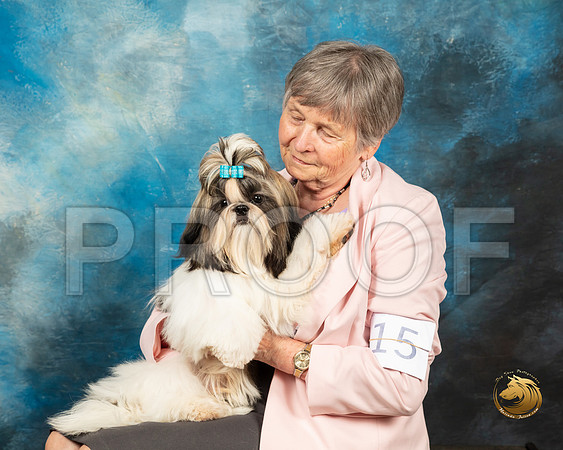 Shih Tzu Renate_SSR_8138_Ablne2019-HR