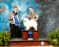 American Eskimo #5 Sat G1 Judge Patricia Hastings