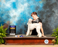 Bedlington Terrier #8 Sat BOB