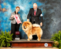 Chow #5 Sat G2 Judge Patricia Hastings