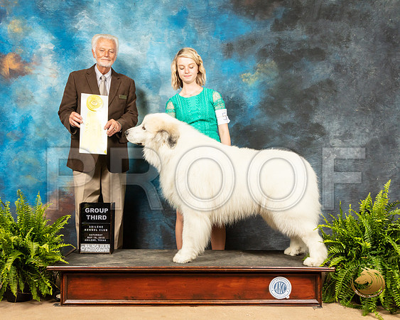 Great Pyrenees #5 Sat G3 Judge Houston Clark_SSR_8168_Ablne2019-HR
